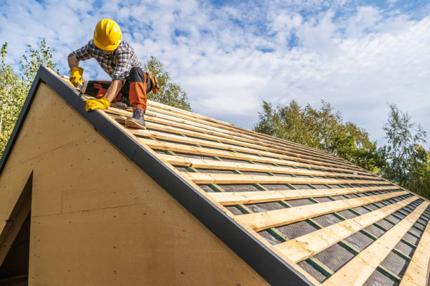 Best New Roof Installation  in Obion, TN