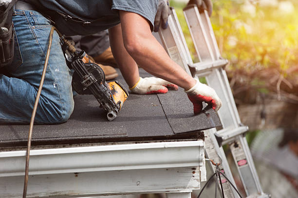 Best Shingle Roofing Installation  in Obion, TN